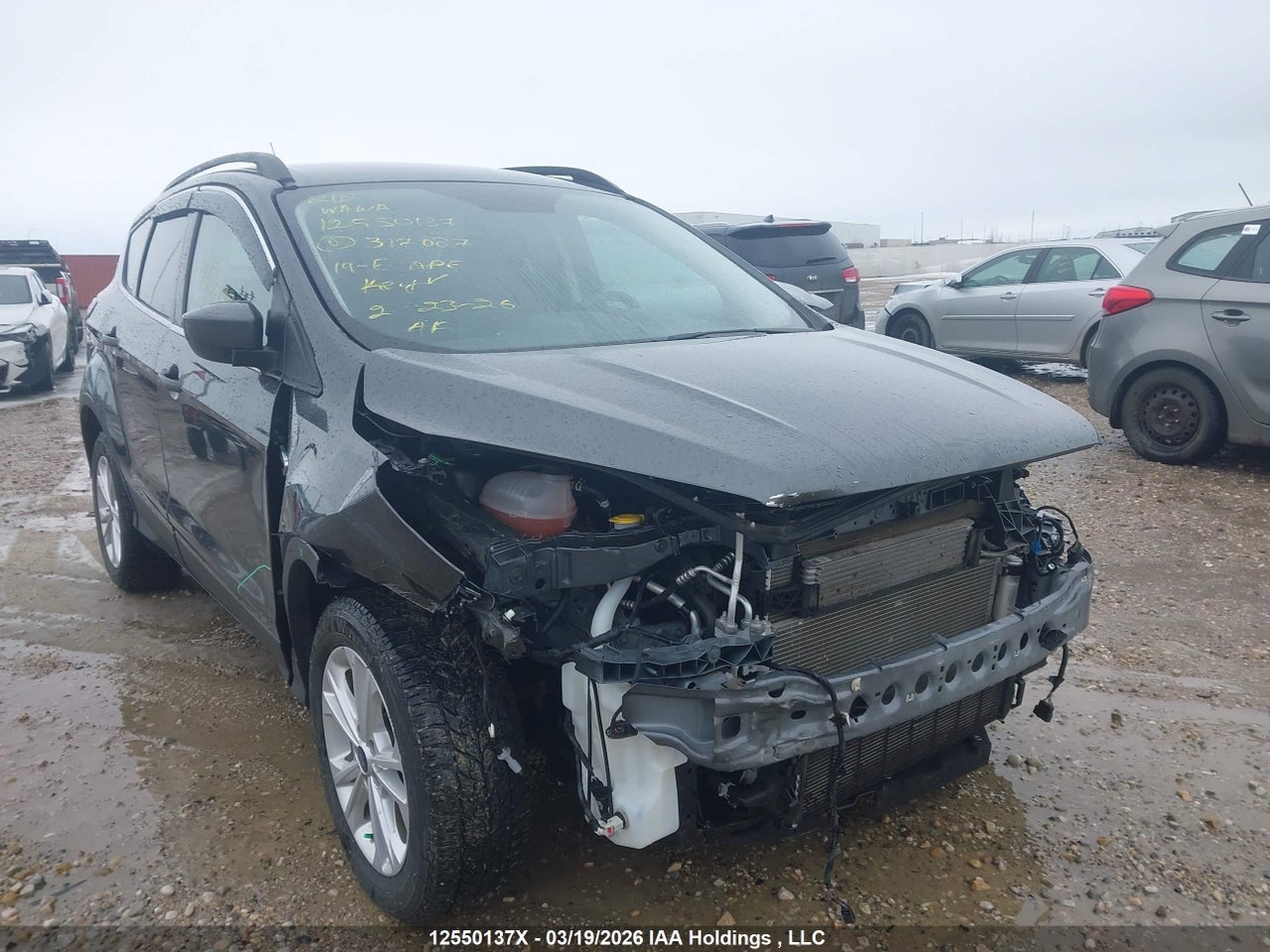 Current Image for vehicle