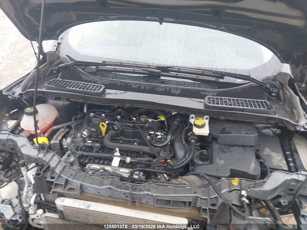 Image #/images/mount/1FMCU9HD1KUB17087_10.jpg for vehicle