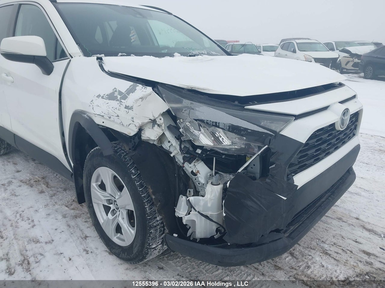 Image #/images/mount/2T3B1RFV3KC026606_06.jpg for vehicle