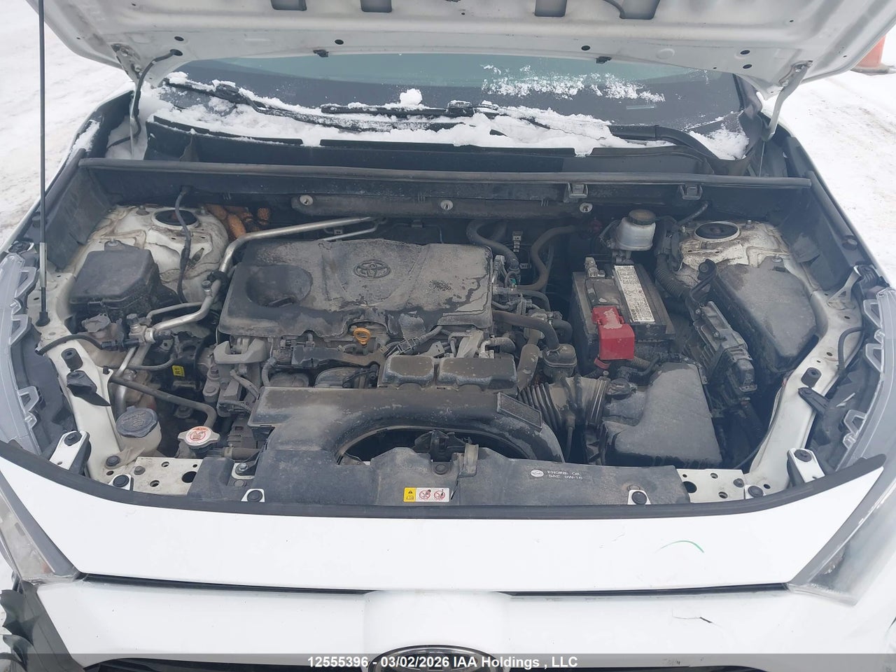 Image #/images/mount/2T3B1RFV3KC026606_10.jpg for vehicle