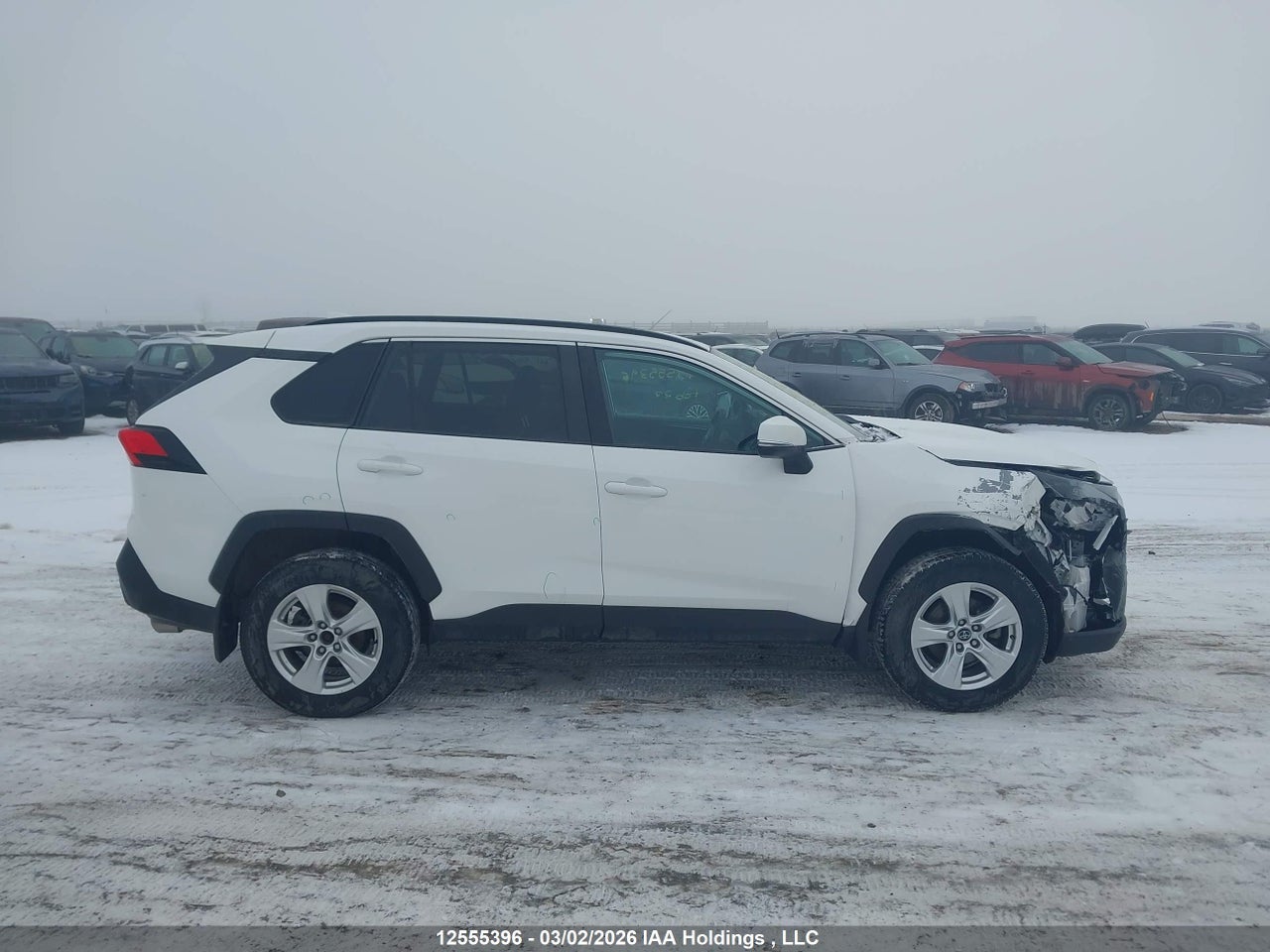 Image #/images/mount/2T3B1RFV3KC026606_13.jpg for vehicle