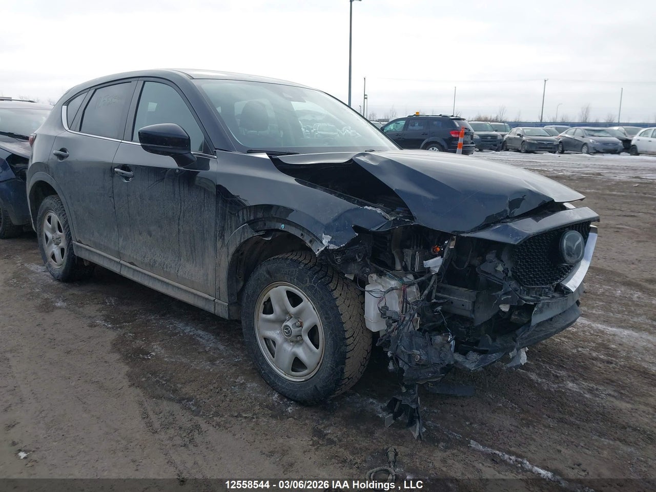 Current Image for vehicle